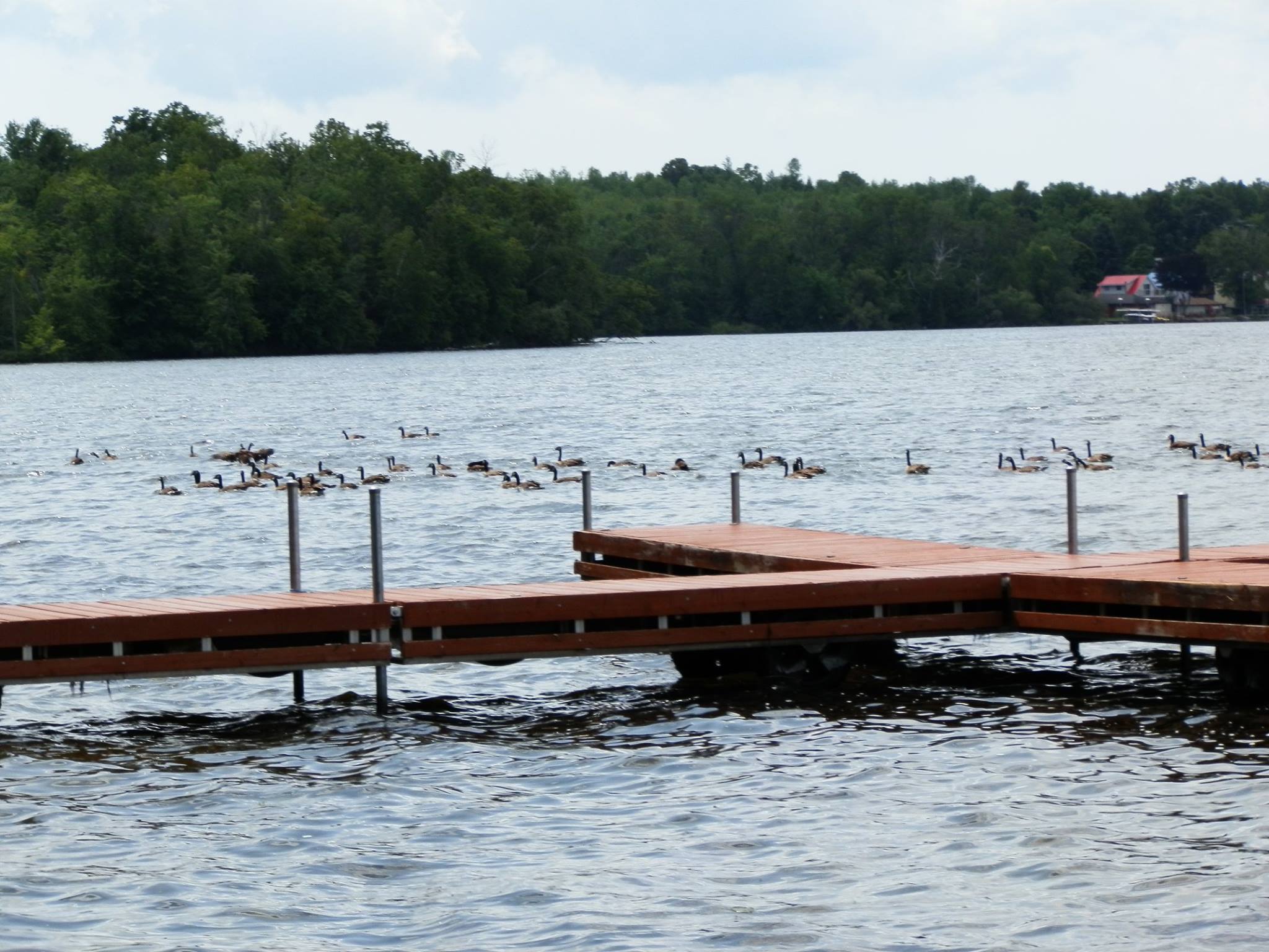 Dock